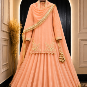 Punjabi-suits